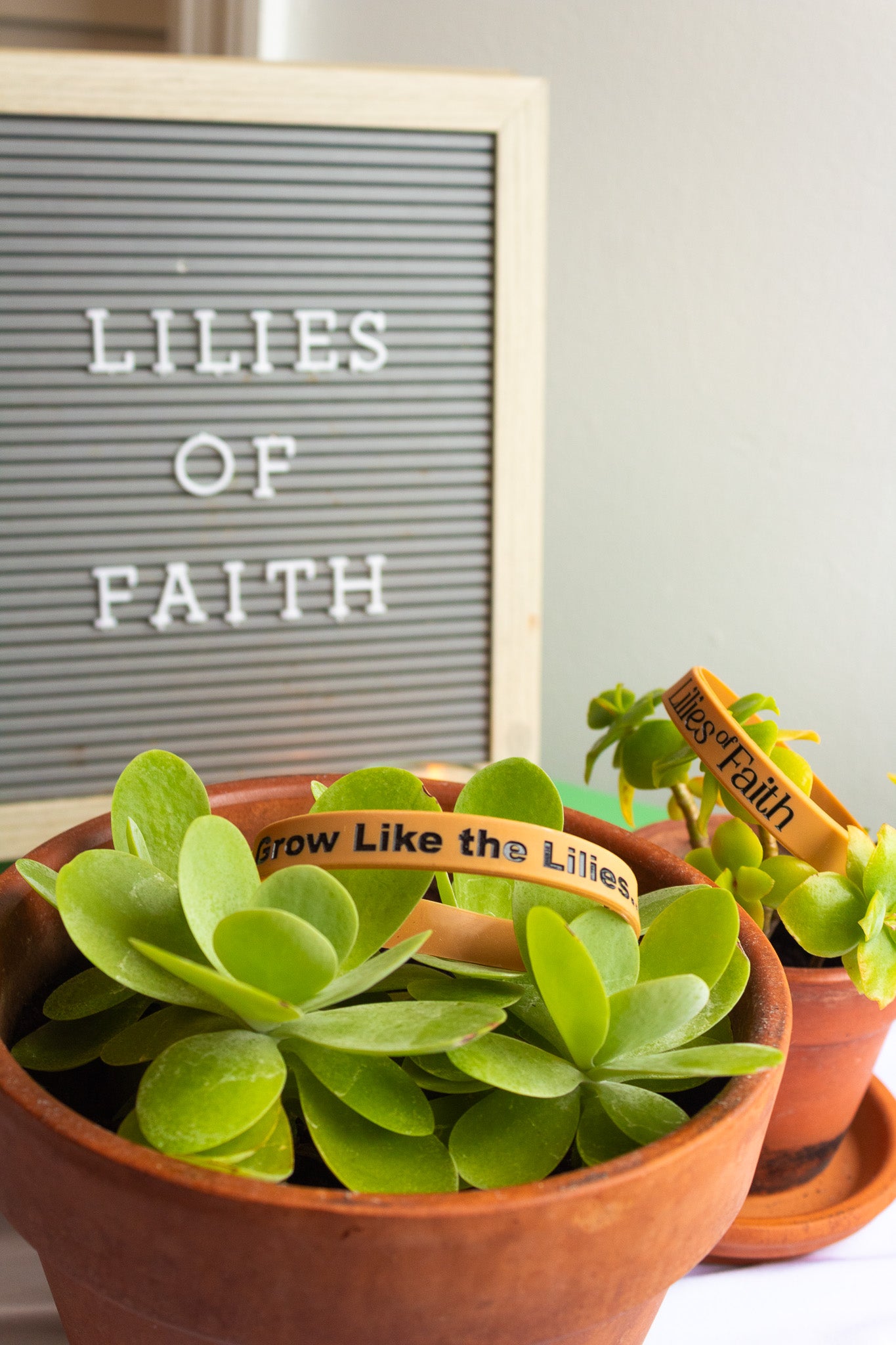 “Grow Like the Lilies” Wristband